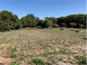 terrain à la vente -   17230  ANDILLY, surface 350 m2 vente terrain - UBI465069215